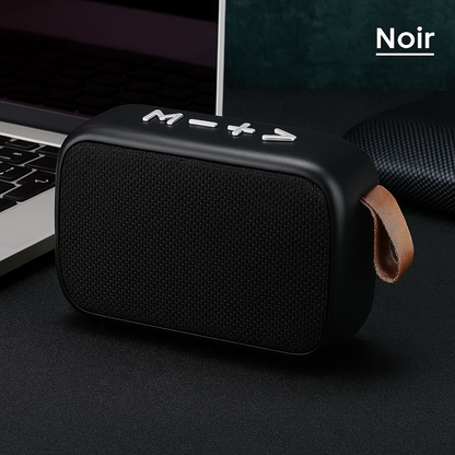 Caisson de Basses Portable Bluetooth